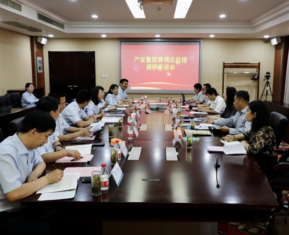 集團黨委副書記、總經(jīng)理黃蓓帶隊調(diào)研濟南市工程咨詢院