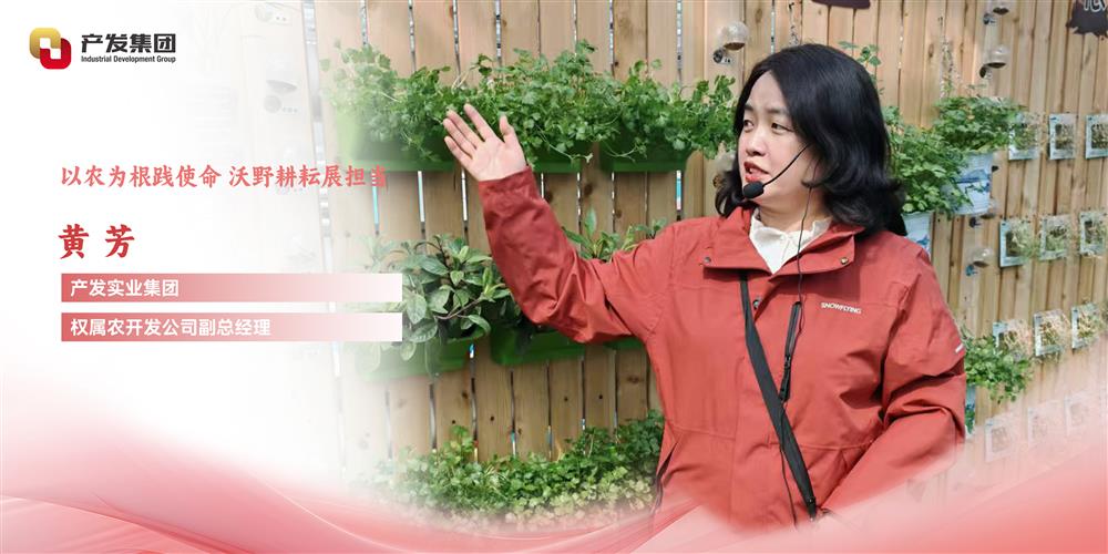 巾幗綻芳華 | 產(chǎn)發(fā)實業(yè)集團權(quán)屬農(nóng)開發(fā)公司 黃芳：以農(nóng)為根踐使命，沃野耕耘展擔(dān)當(dāng)